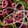 Atomic Structure — Modern Warfare 3