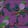 Birdsong — Warzone