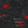 Bloodfang — Black Ops 6