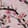 Cherry Blossom — Black Ops 6