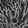 Dread — Black Ops 6