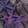 Fissure — Black Ops 6