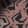 Glyph — Black Ops 7