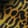 Leopard — Black Ops 7