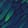 Macaw — Warzone