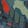 Mire — Warzone