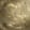 Mystic Gold — Black Ops 6