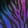 Neon Zebra — Black Ops 7