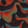 Oscillation — Warzone