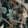 Quail — Warzone