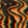 Rogue Waves — Warzone