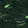 Shadowfang — Black Ops 6
