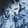 Skulls — Black Ops 7
