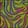 Squirm — Black Ops 6
