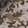 Desert — Black Ops 7