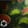 Dionaea — Black Ops 7