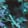 Ghost Blossom — Black Ops 6