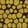 Golden Poison — Modern Warfare 3