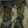 Raptor — Black Ops 7
