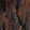Redwood — Black Ops 7