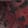 Ruby Snake — Black Ops 7
