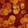 Skullflagration — Modern Warfare 3