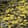 Swamp — Black Ops 7