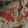 Toxic — Black Ops 7