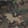 Woodland — Black Ops 7