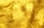 gold camo preview