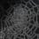 Arachnid camo preview