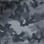 Arctic camo preview