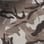 Arid camo preview