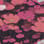 Asterwind camo preview
