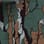 Balsam camo preview