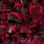Bloodstone camo preview