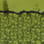 Death Throes camo preview