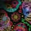 Dia de Muertos camo preview