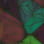 Focus camo preview