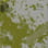 Havoc camo preview