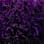 Mercury camo preview