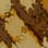 Rotmist camo preview