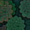 Succulent camo preview
