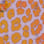 Sunrise Leopard camo preview