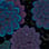 Twilight Bloom camo preview