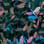 Wisteria camo preview