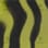 Yellow Tiger camo preview