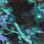 Ghost Blossom camo preview