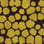 Golden Poison camo preview