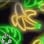 Jungle Party camo preview